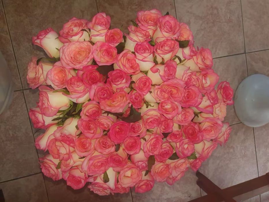 Розы от производителя.