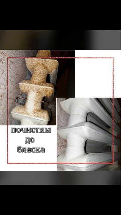 Cleaning_taza_aua
