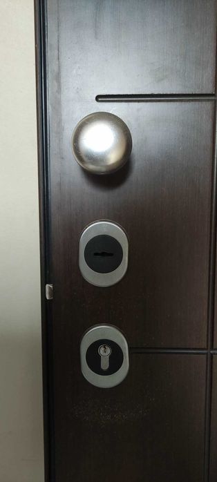 Блиндирана входна врата с каса (86/197)