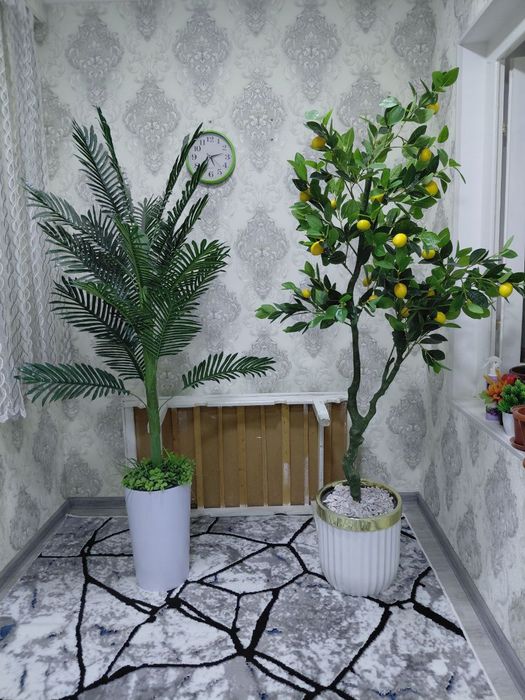 Продаётся Лимон декоративное дерево