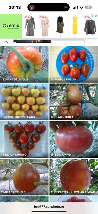 Seminte rosii romanesti si straine ! Am peste 150 soiuri pure !