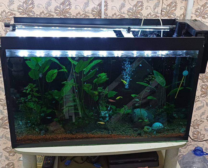 Продам срочно Аквариумы с рыбками и растительностю