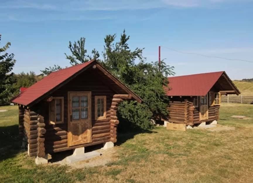 Liber de Sf Ion
Ideală pen