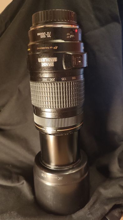 Canon EF 70-300mm f/4-5.6 IS USM