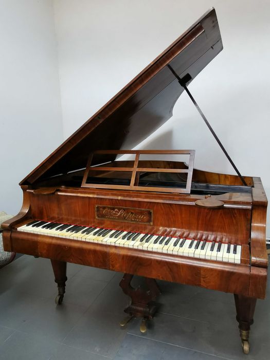 Vand pian cu coada scurta, functional, acordat