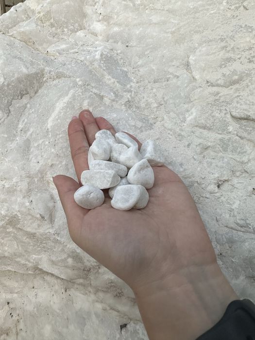 Крошка Галька Блужник