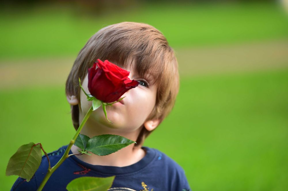Filmari Foto nunti botez nunta Bistrita Fotograf Cameraman