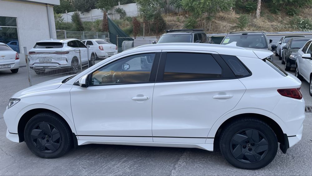 Byd E2.