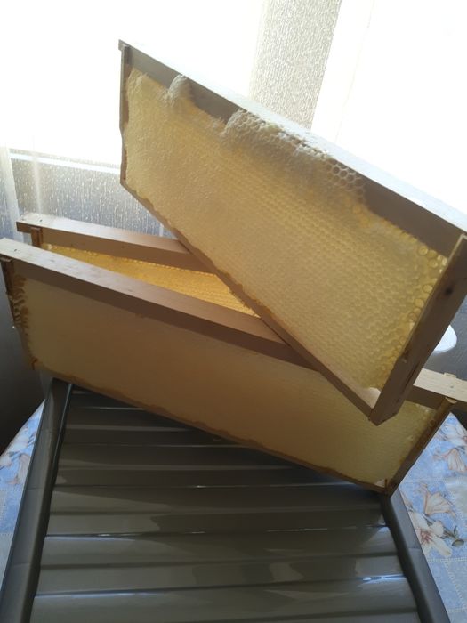 Билков мед на пита