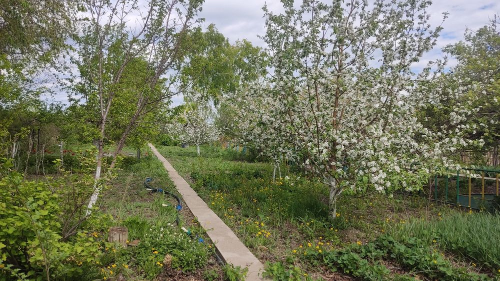 Продам дачу. 8 соток