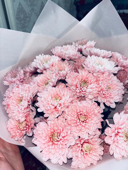 Продаю букет хризантема