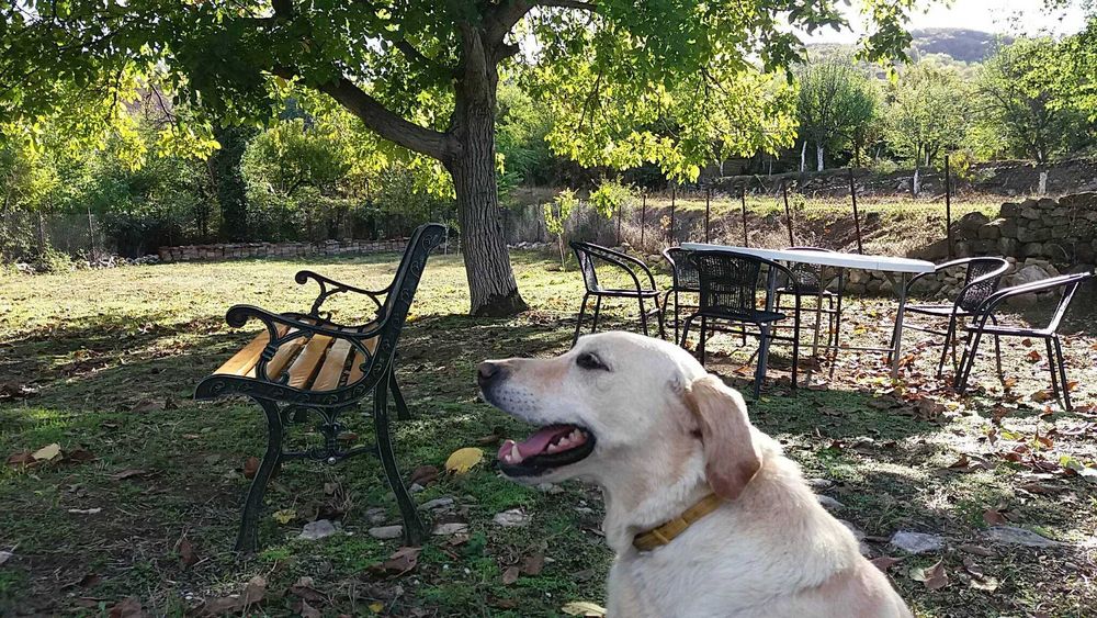 Къща под наем в Самоводене