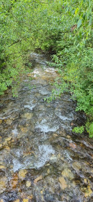 Teren intravilan în munții Apuseni jud Alba/Cluj
