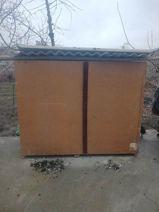 Tovuq kattak sotiladi