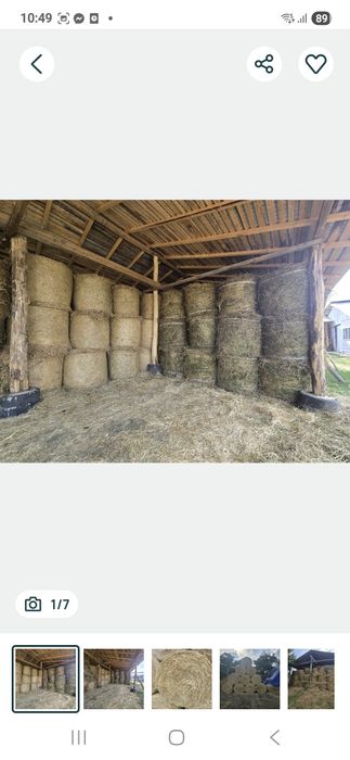 Baloti fan or Lucerna drept.500.Rotunzi min.40.la Tir transp inclus RO