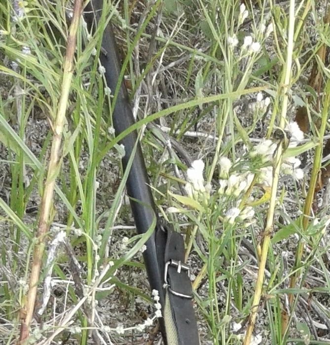 Продам "дудку" или "кочережку"