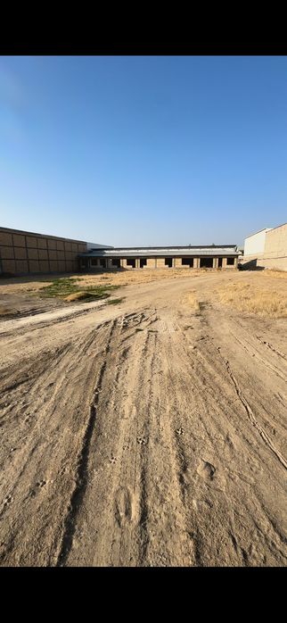 ‼️ Срочно продаю ‼️