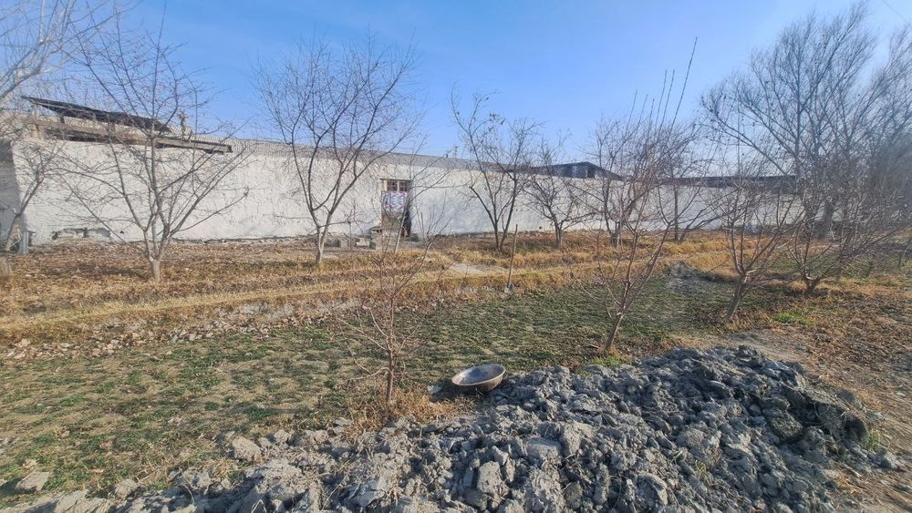 Ҳовли яшашга ва бизнесга тайёр