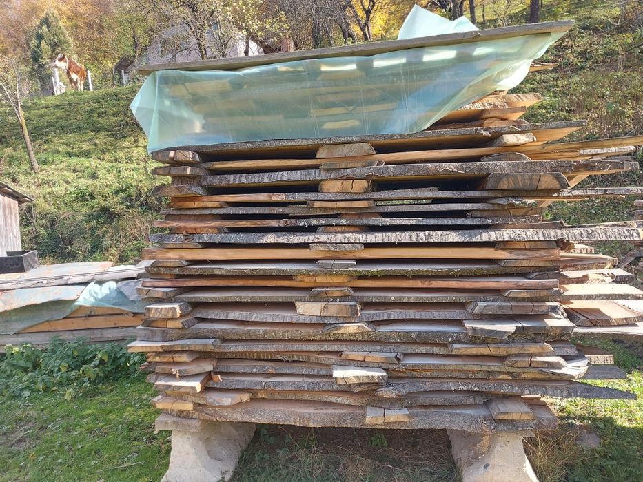 Cherestea de cireș/ tei