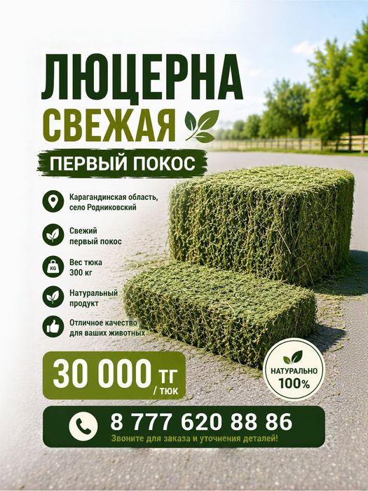 Сено Люцерна свежая первый покос