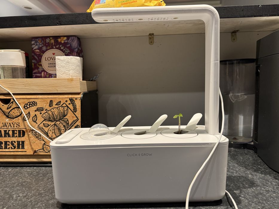 Click and Grow смарт саксия