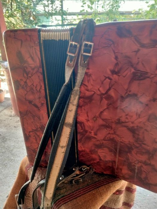 Acordeon elmeisteramigo