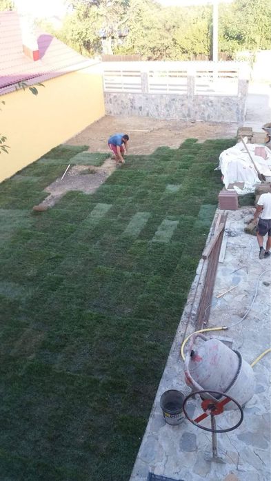 Gazon natutal direct de la producator / pret minim