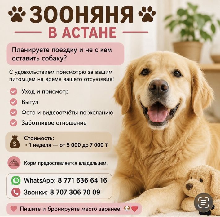 Передержка собак