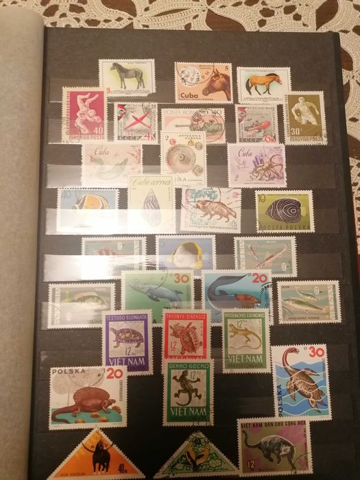 колекция от пощенски марки в класьор