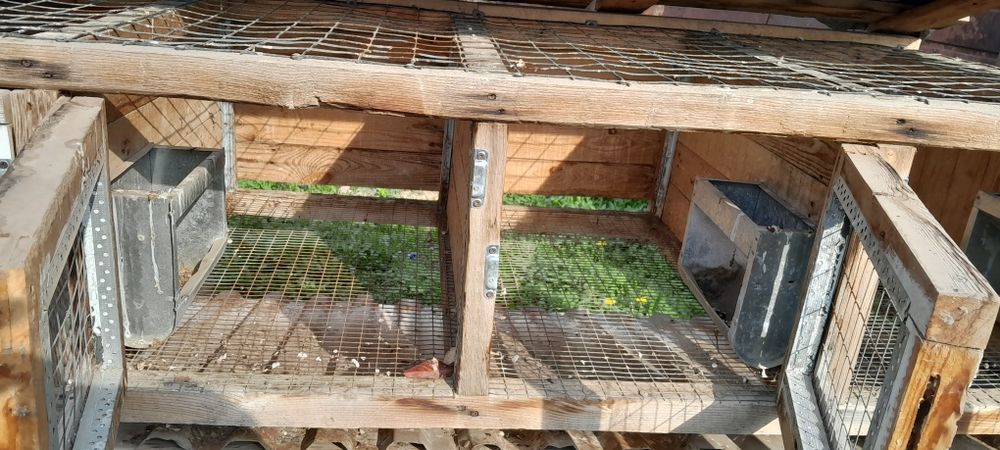 Клетки для птицы или кроликов