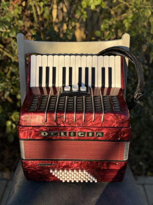 Acordeon Delicia Junior ll 48 bași