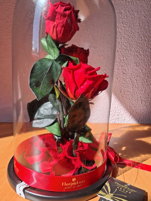 Trandafiri criogenati în cupola de sticla