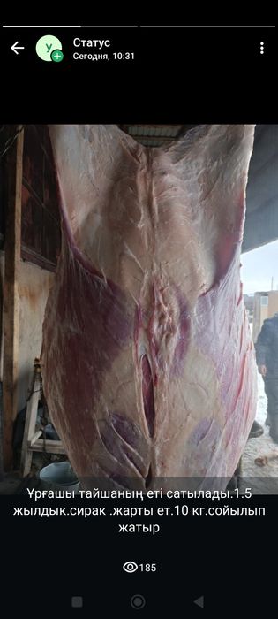 Бычки есть на продажу