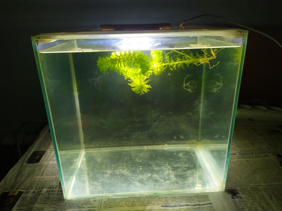 Аквариум 18л + комплект и рыбки.