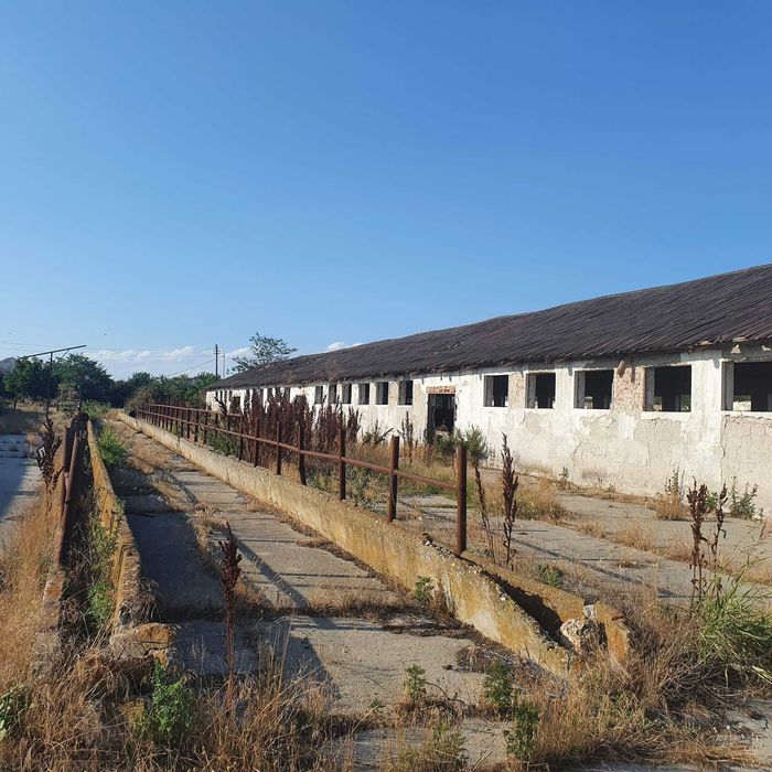 Ferma agricola,de vanzare