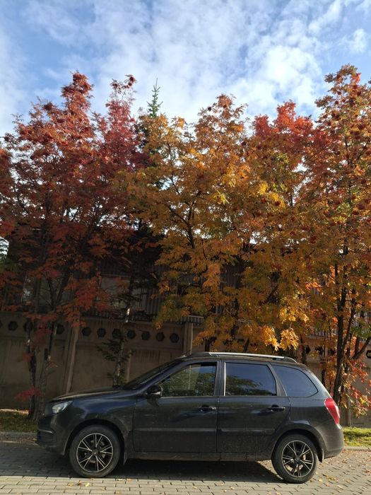 Продам диски 4×98