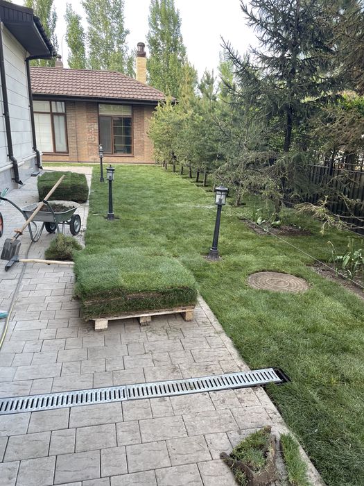 Озелинение, сад облагораживание