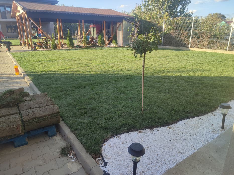 Gazon rulou sport 24 de lei m2. Transport și montaj inclus în preț.