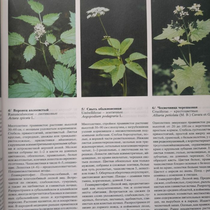 Цветовой атлас растений Библия