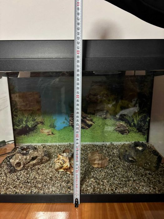 Acvariu Juwel 60x30x40