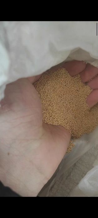 Семена амаранта.