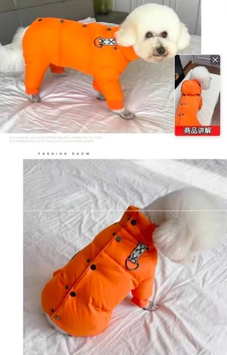Одежда для собак