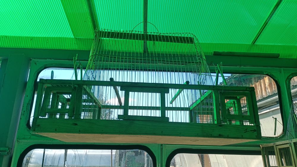 Продам клетки , продам