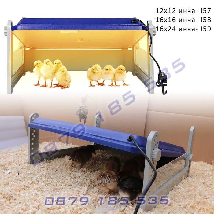 Топлилка нагревателен панел пилета домашни малки животни топлина