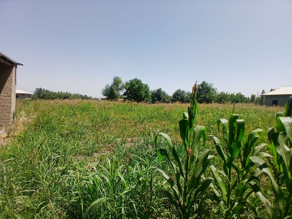 Yer sotiladi  srochniy