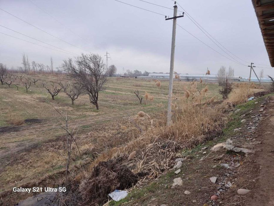 Продаётся Фирма, с Постройками и с Земельным участком - 7,8Га. Кибрай