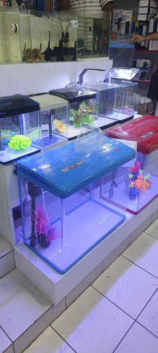 Аквариумы премиум класса