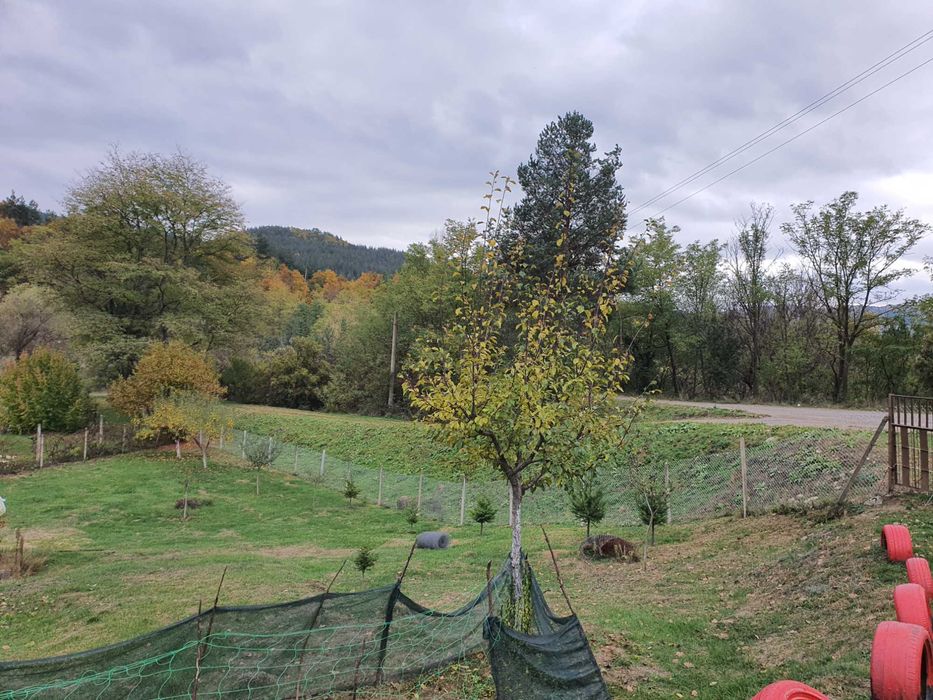 Продава се Къща в с. Горно Уйно, Област Кюстендил - 60 кв.м за 1150 €/кв.м - Снимка #10