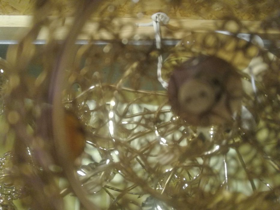 Люстра красивая для зала