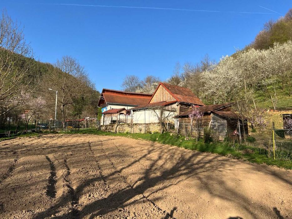 Preț actualizat | Proprietar vând casă la munte cu 6.019 mp teren, grădină, livadă, utilități complete – Băcâia (Geoagiu)